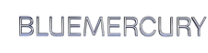 Logo 145